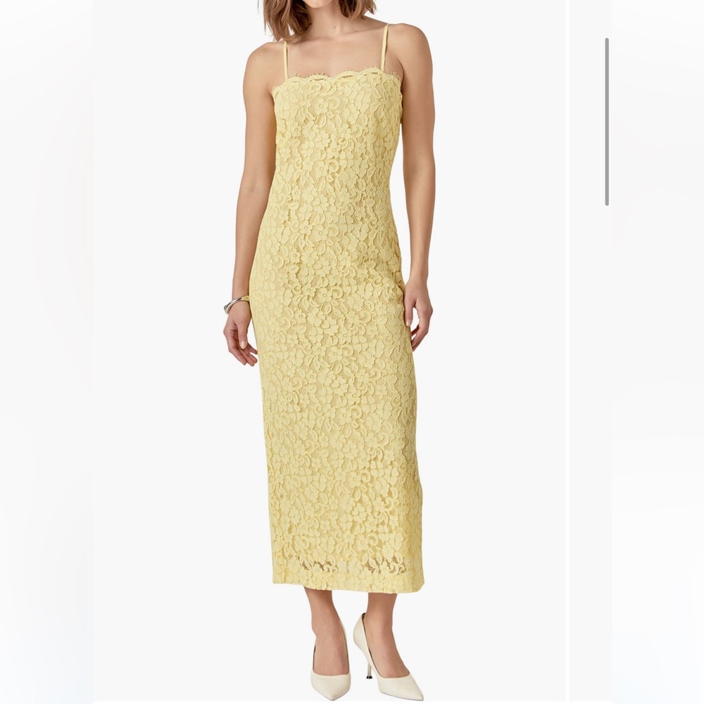 Endless Rose Lacy Column Dress